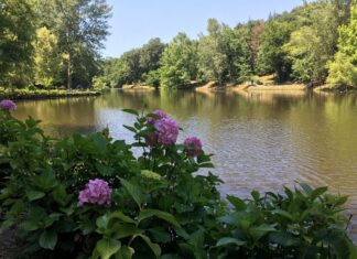 Gmâyî Efendi oğlu Ali Canı