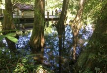 Ereğli Uzun Mehmet’in Memleketi