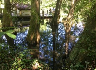 Ereğli Uzun Mehmet’in Memleketi