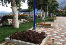 Türk ve İslâm Eserleri Müzesi’nin Kuruluşu