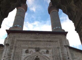 Ekosistemlerin Oluşumu ve Doğal İşleyişi